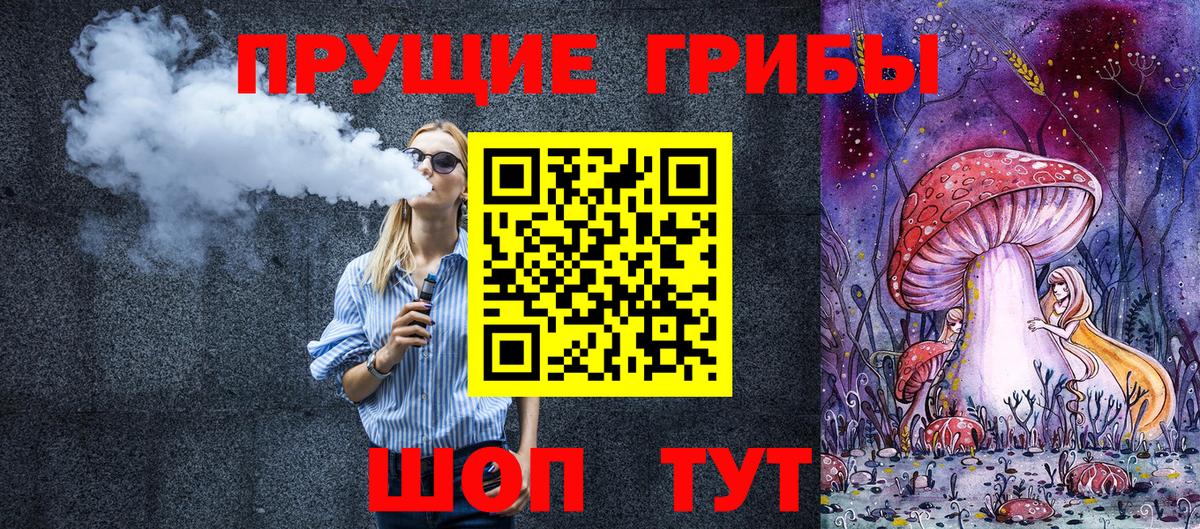 Богданович  Псилоцибиновые грибы Cubensis  Вход с VPN 