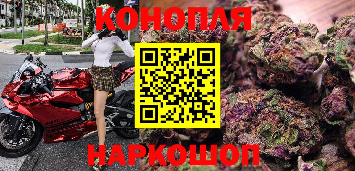 Канабис MAZAR Богданович